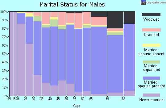 Stokes County marital status for males