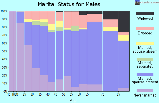 Shenandoah County marital status for males