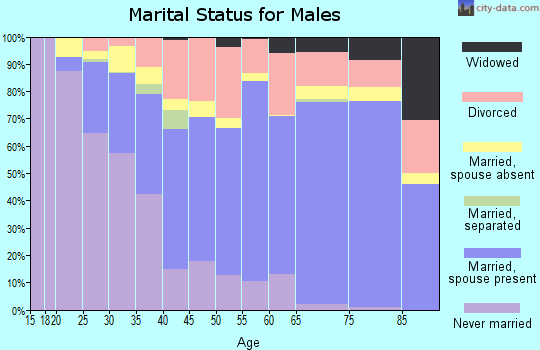 Avery County marital status for males