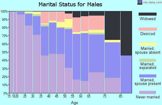 Nome Census Area marital status for males