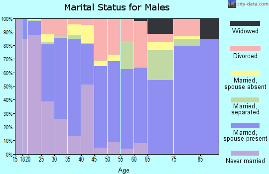 Long County marital status for males