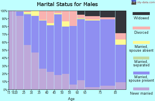Brookings County marital status for males