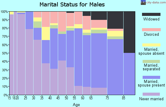 Warren County marital status for males