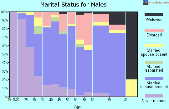 Lumpkin County marital status for males