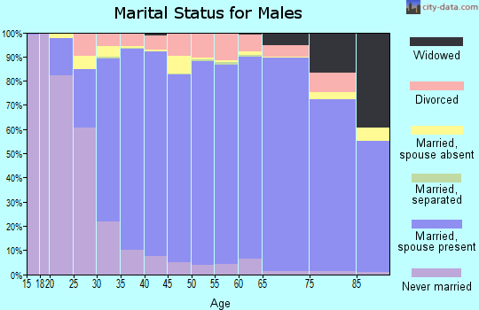 Williamson County marital status for males