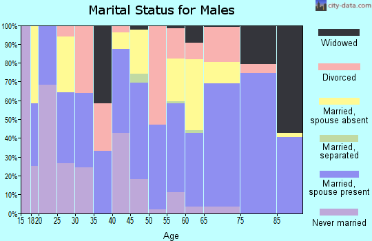 Owsley County marital status for males