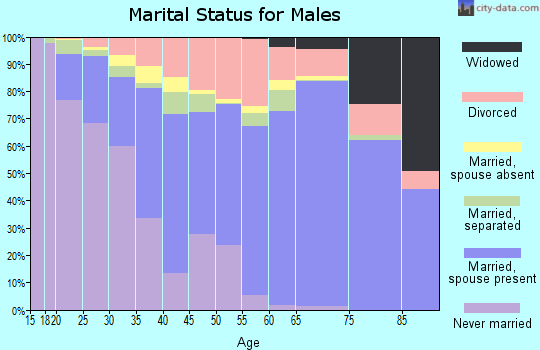 Wise County marital status for males