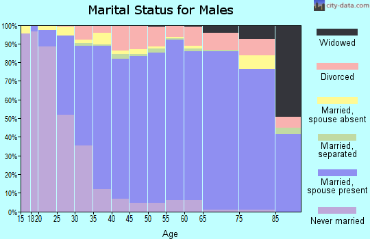 York County marital status for males