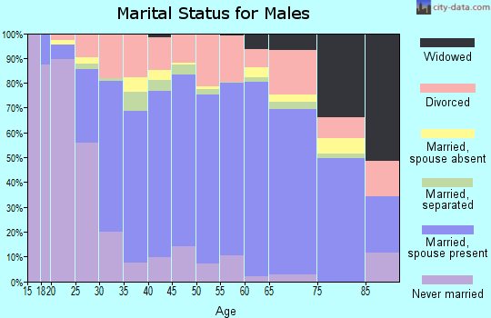 Rockcastle County marital status for males