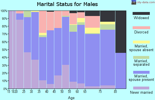 Shannon County marital status for males