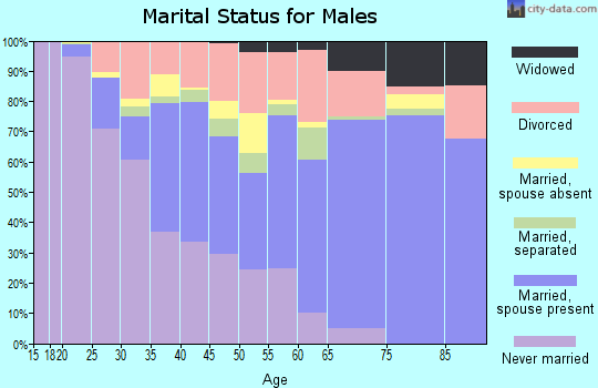 Mitchell County marital status for males