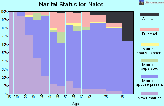 Peach County marital status for males