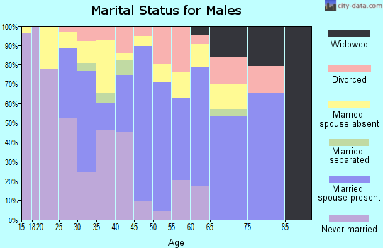 Hudspeth County marital status for males