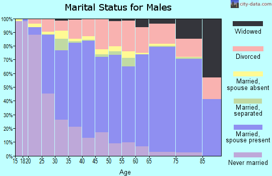 Hunt County marital status for males