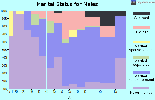 Pulaski County marital status for males