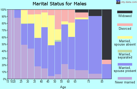 Southeast Fairbanks Census Area marital status for males