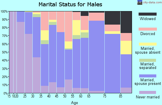 Rabun County marital status for males