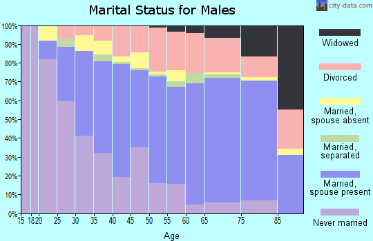 Spalding County marital status for males