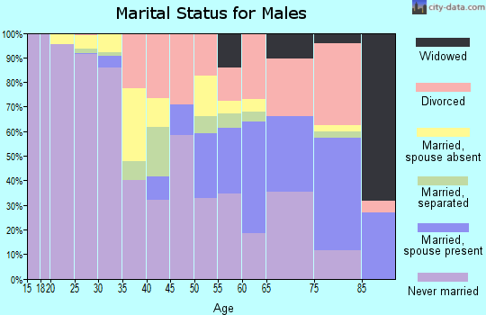 Stewart County marital status for males