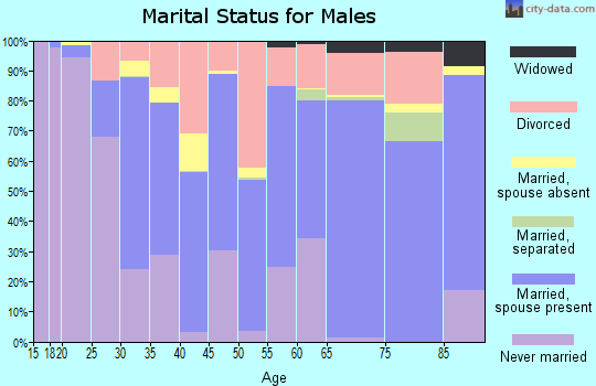 Valdez-Cordova Census Area marital status for males