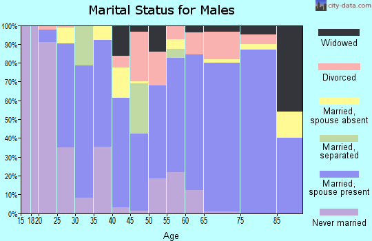 Towns County marital status for males
