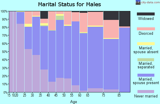 Blaine County marital status for males
