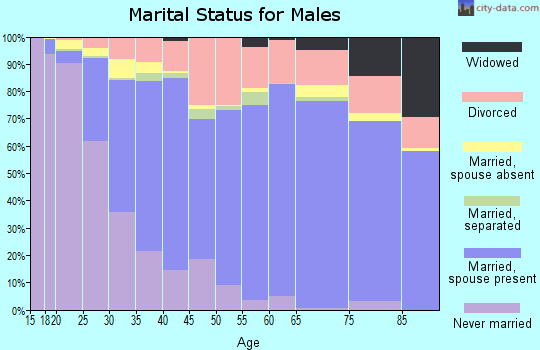 Lubbock County marital status for males