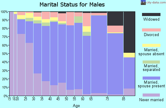 Maverick County marital status for males