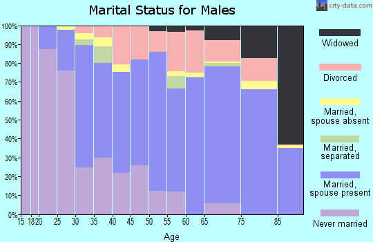 Milam County marital status for males