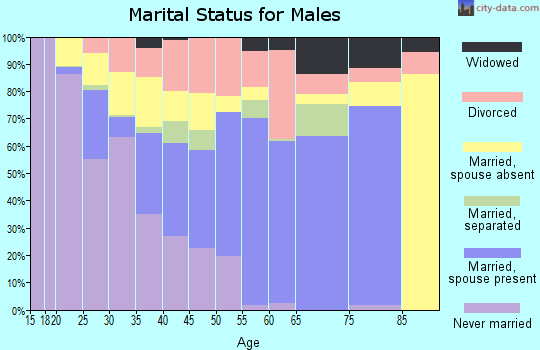 Mitchell County marital status for males