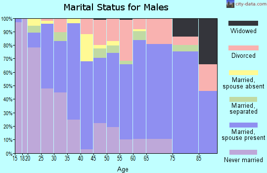Morris County marital status for males