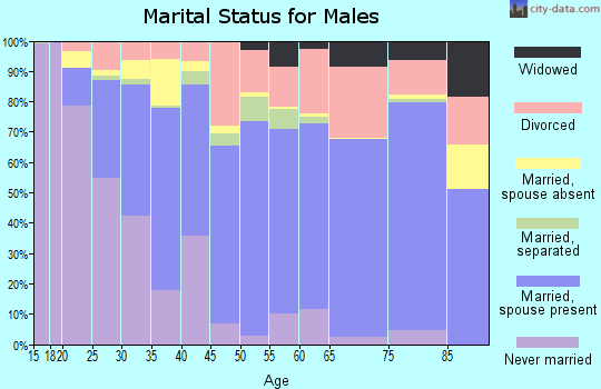 Navarro County marital status for males