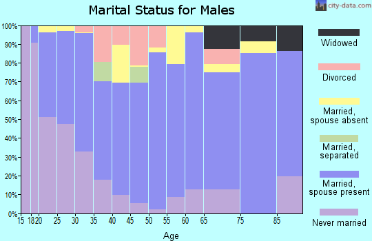 Ochiltree County marital status for males