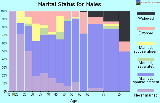Stephens County marital status for males