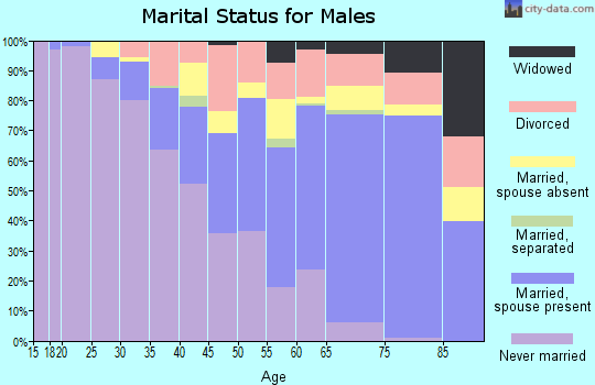 Baraga County marital status for males