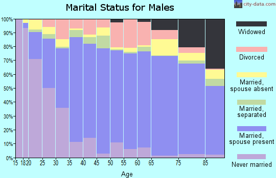 Val Verde County marital status for males