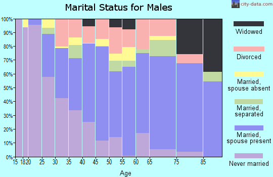 Bristol city marital status for males