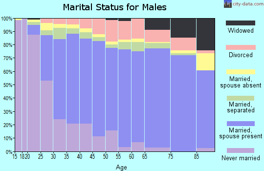 Chesapeake city marital status for males