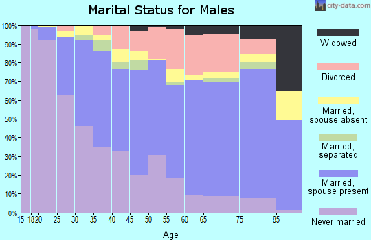 Lynchburg city marital status for males