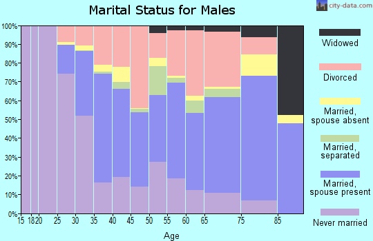 Martinsville city marital status for males