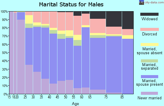 Bryan County marital status for males