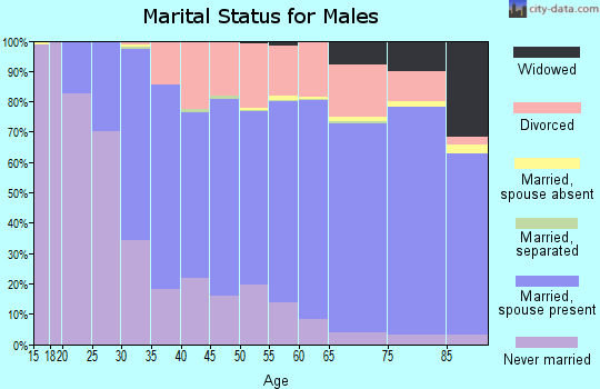 Burnett County marital status for males