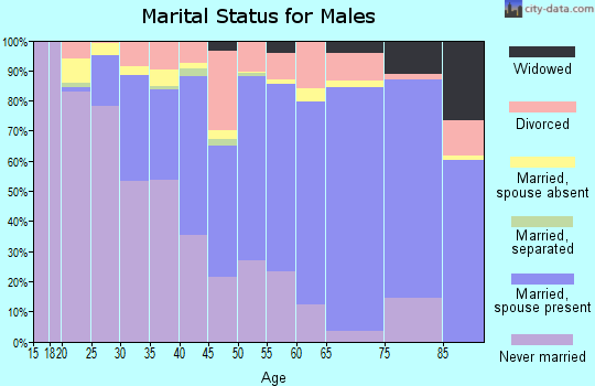 Chaffee County marital status for males