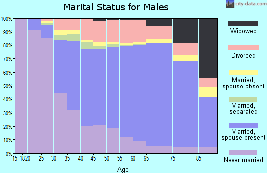 Windham County marital status for males