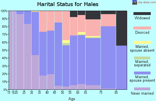Boise County marital status for males