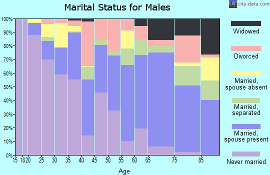 Bertie County marital status for males