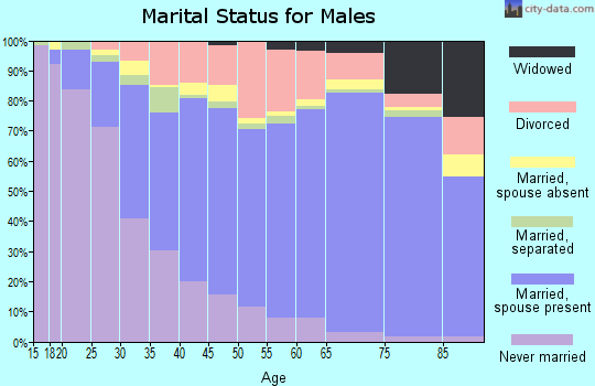 Augusta County marital status for males