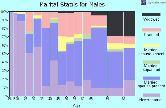Ben Hill County marital status for males