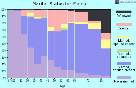 Oxford County marital status for males