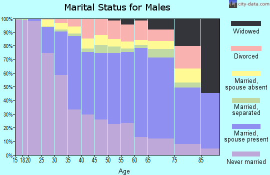 Hudson County marital status for males